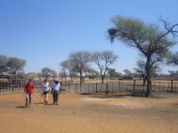 Namibia2016-55.jpg